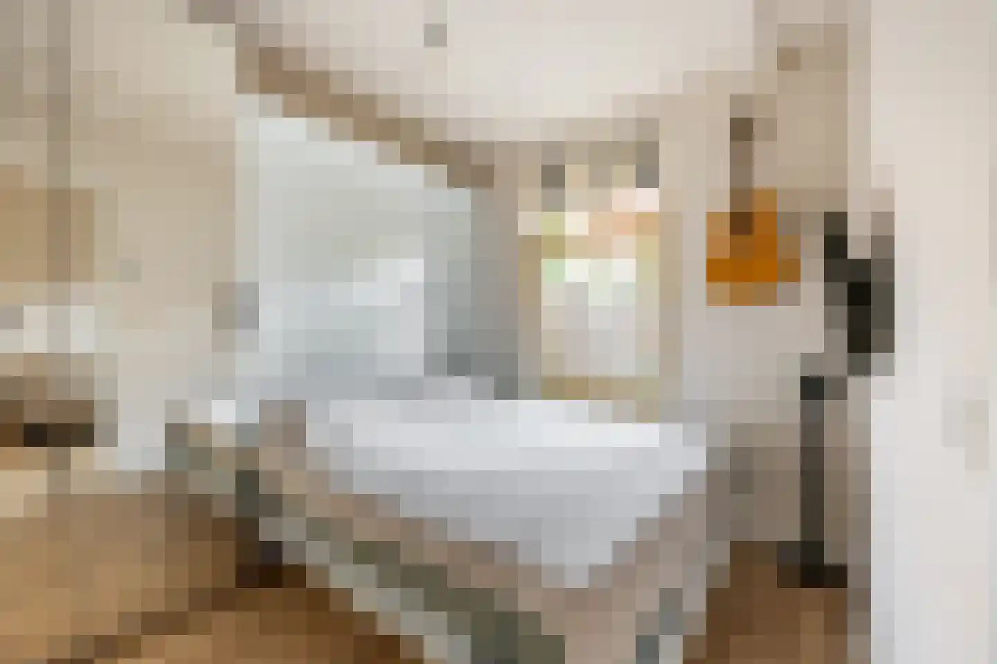 Begoniastraat 16 A Amsterdam thumbnail 18