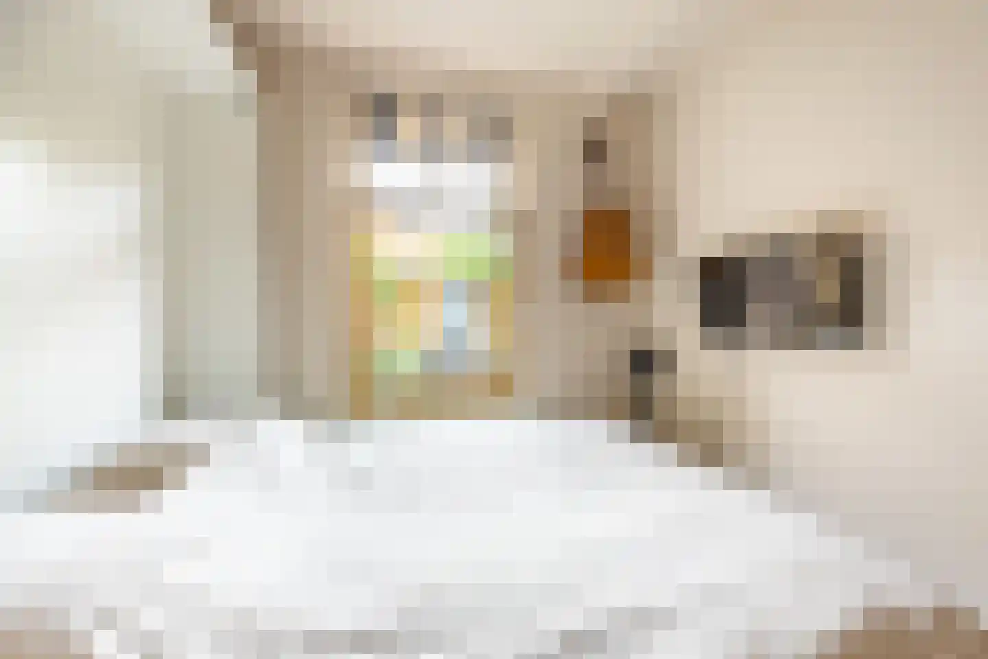 Begoniastraat 16 A Amsterdam thumbnail 19