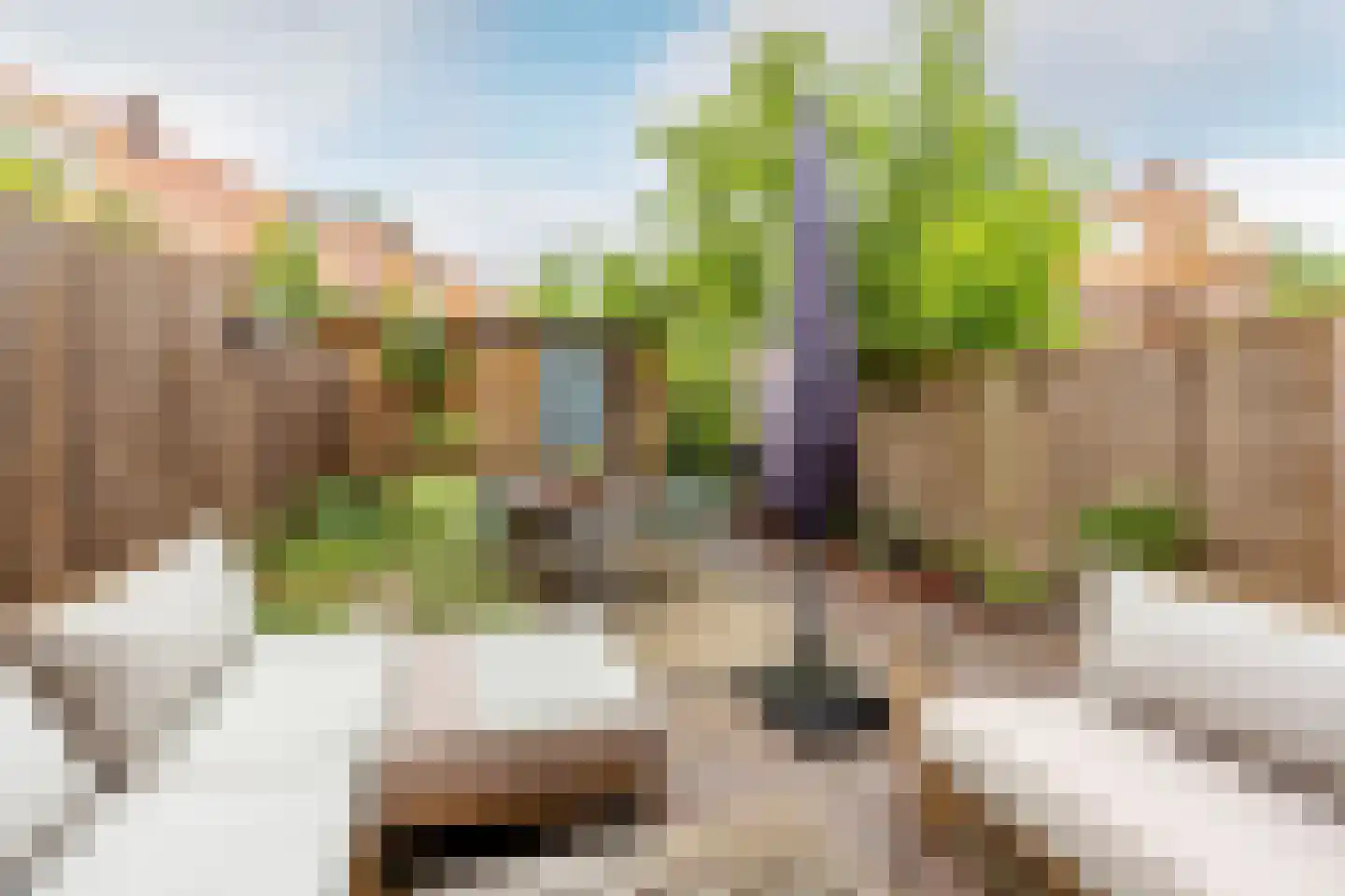 Begoniastraat 16 A Amsterdam thumbnail 5