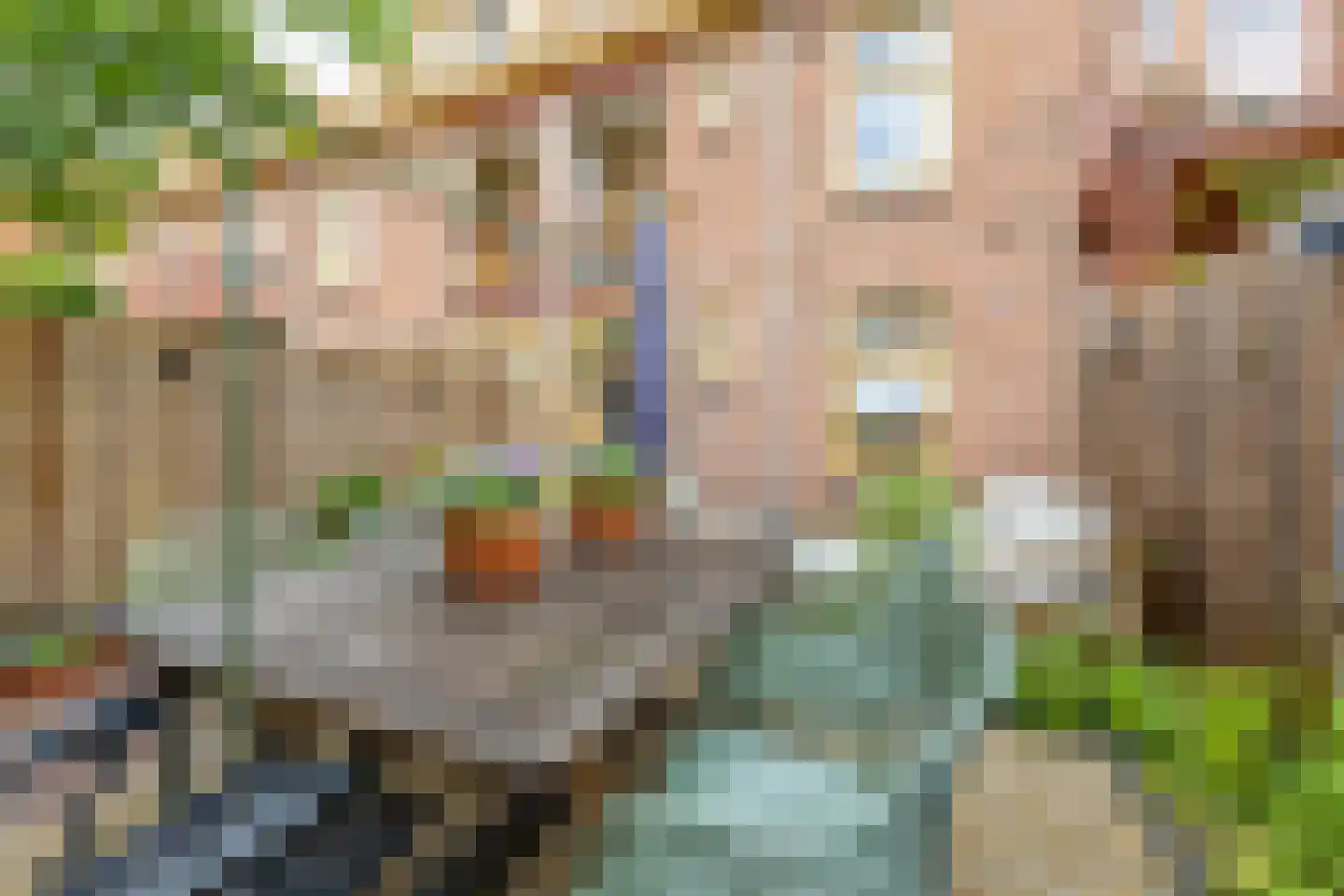 Begoniastraat 16 A Amsterdam thumbnail 7