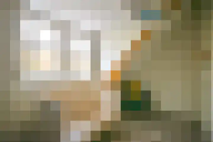 Begoniastraat 16 B Amsterdam thumbnail 17