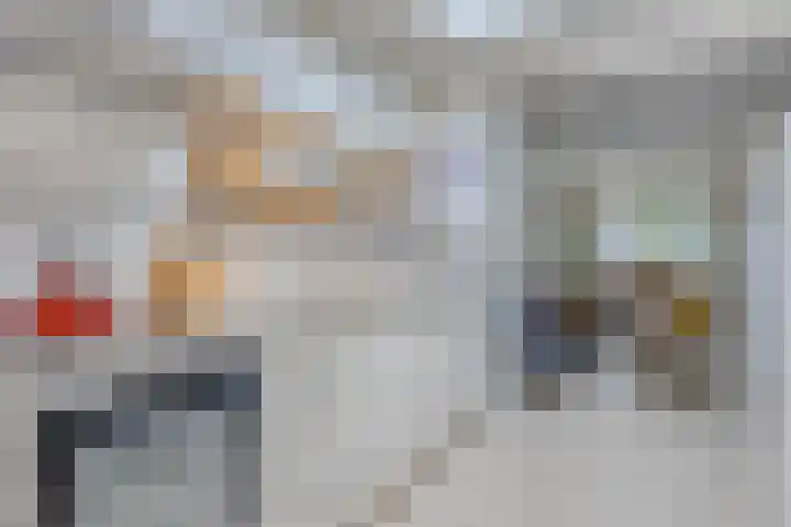 Begoniastraat 16 Maastricht thumbnail 10