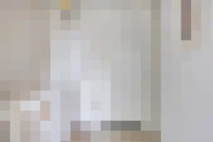 Begoniastraat 16 Maastricht thumbnail 21