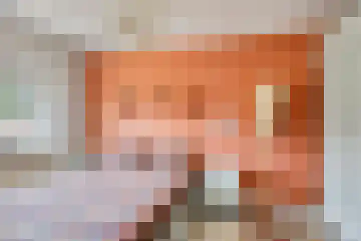Begoniastraat 16 Maastricht thumbnail 22