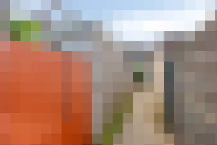 Begoniastraat 16 Maastricht thumbnail 31