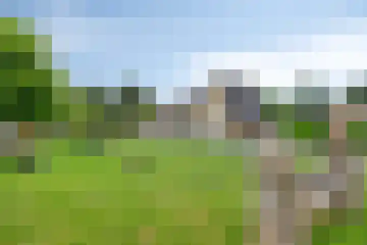 Begoniastraat 16 Maastricht thumbnail 33