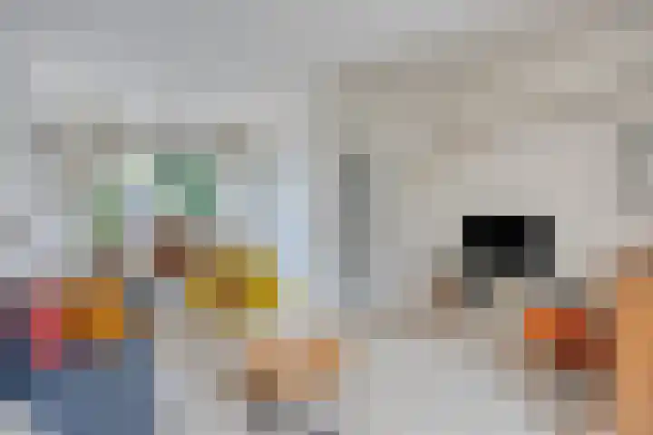 Begoniastraat 16 Maastricht thumbnail 5