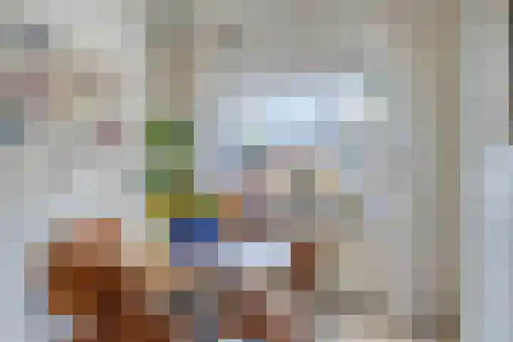 Begoniastraat 16 Maastricht thumbnail 7