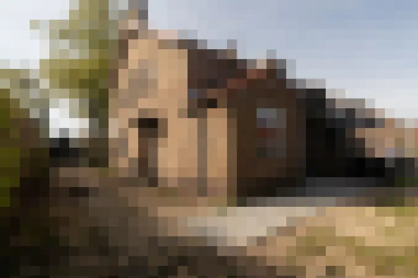 Begoniastraat 17 Baarn thumbnail 25