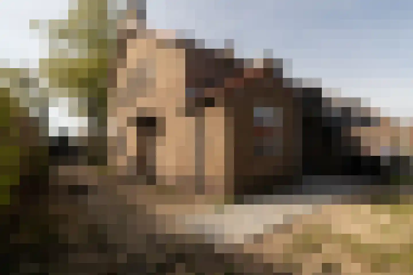 Begoniastraat 17 Baarn thumbnail 25
