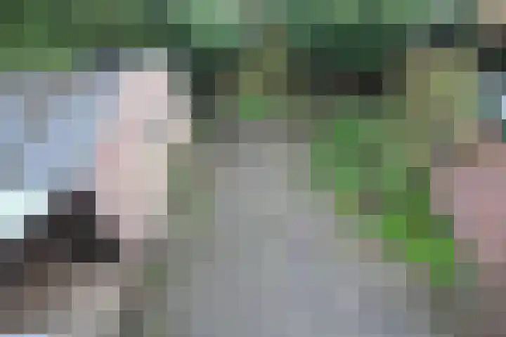 Begoniastraat 17 Olst thumbnail 15