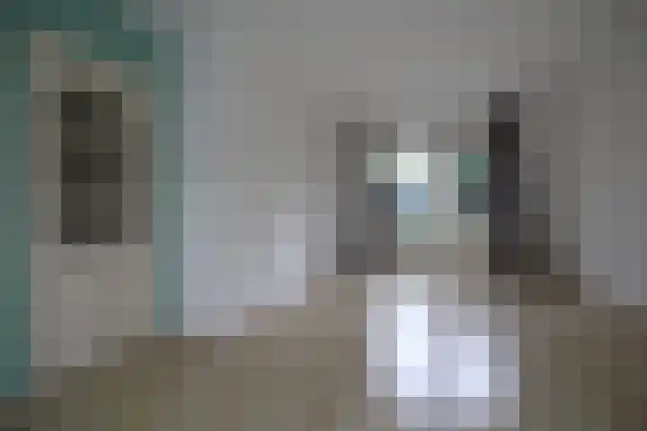 Begoniastraat 17 Olst thumbnail 5