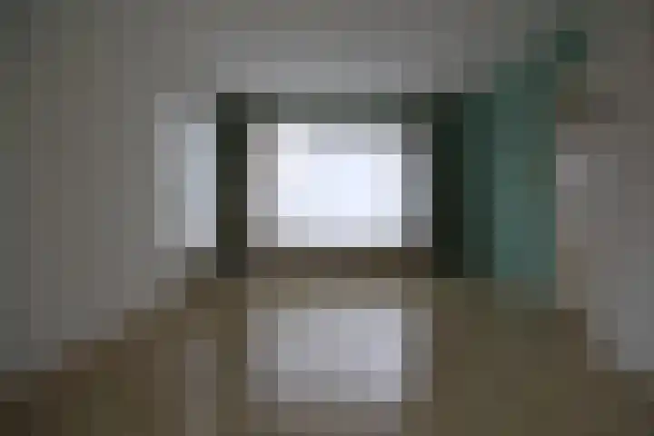 Begoniastraat 17 Olst thumbnail 6