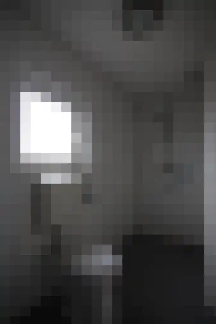 Begoniastraat 17 Olst thumbnail 8