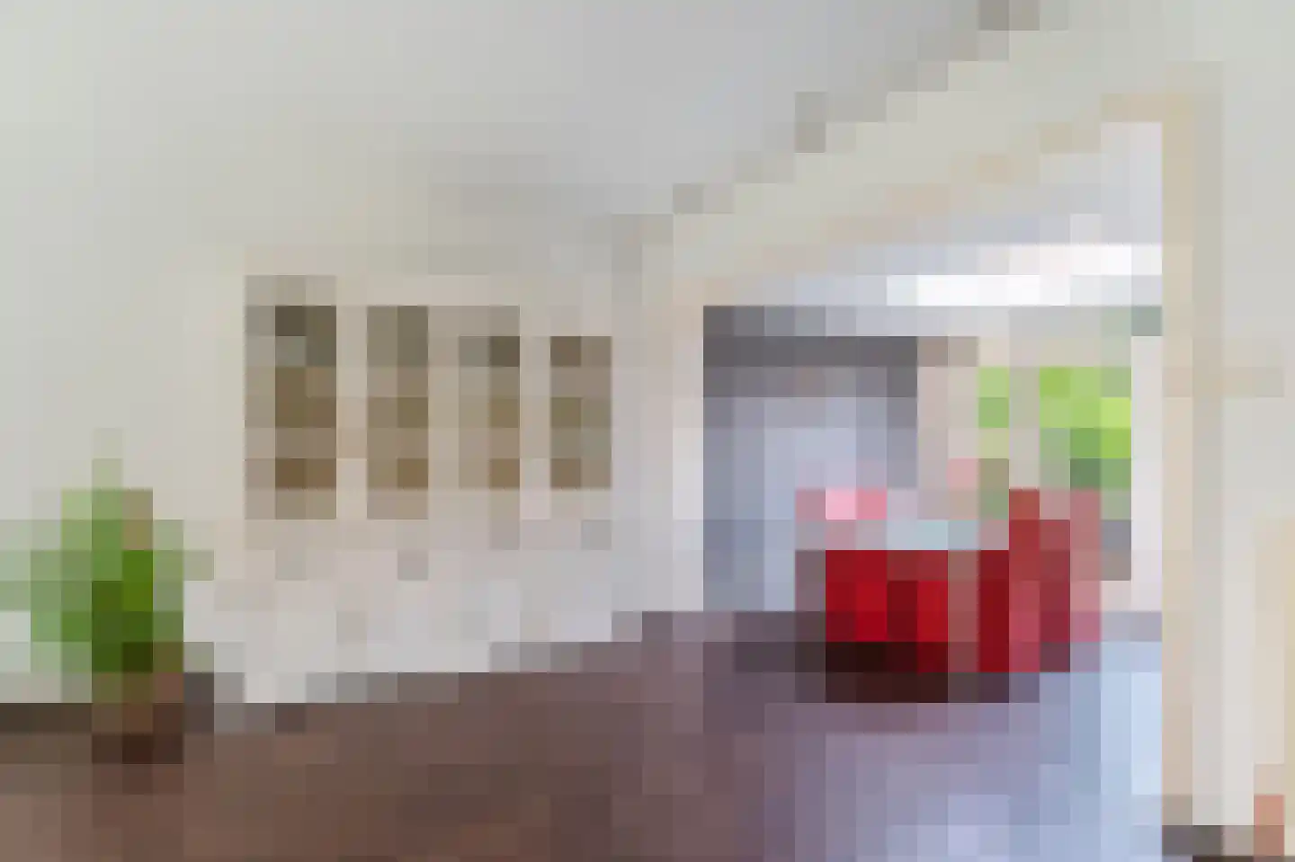 Begoniastraat 17 Zwolle thumbnail 12