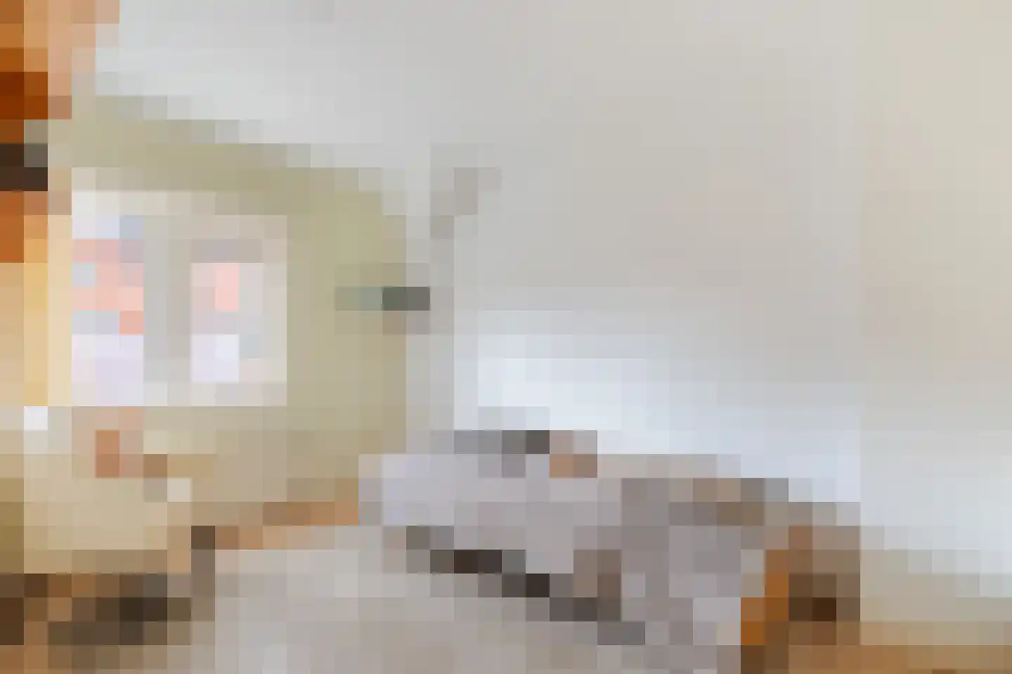 Begoniastraat 17 Zwolle thumbnail 24