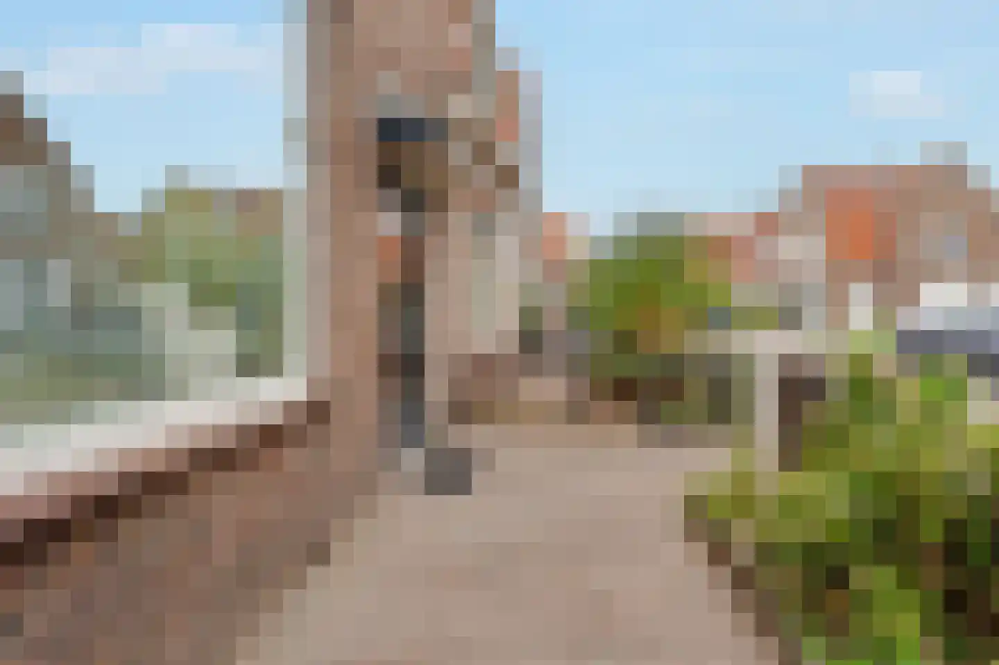 Begoniastraat 17 Zwolle thumbnail 39