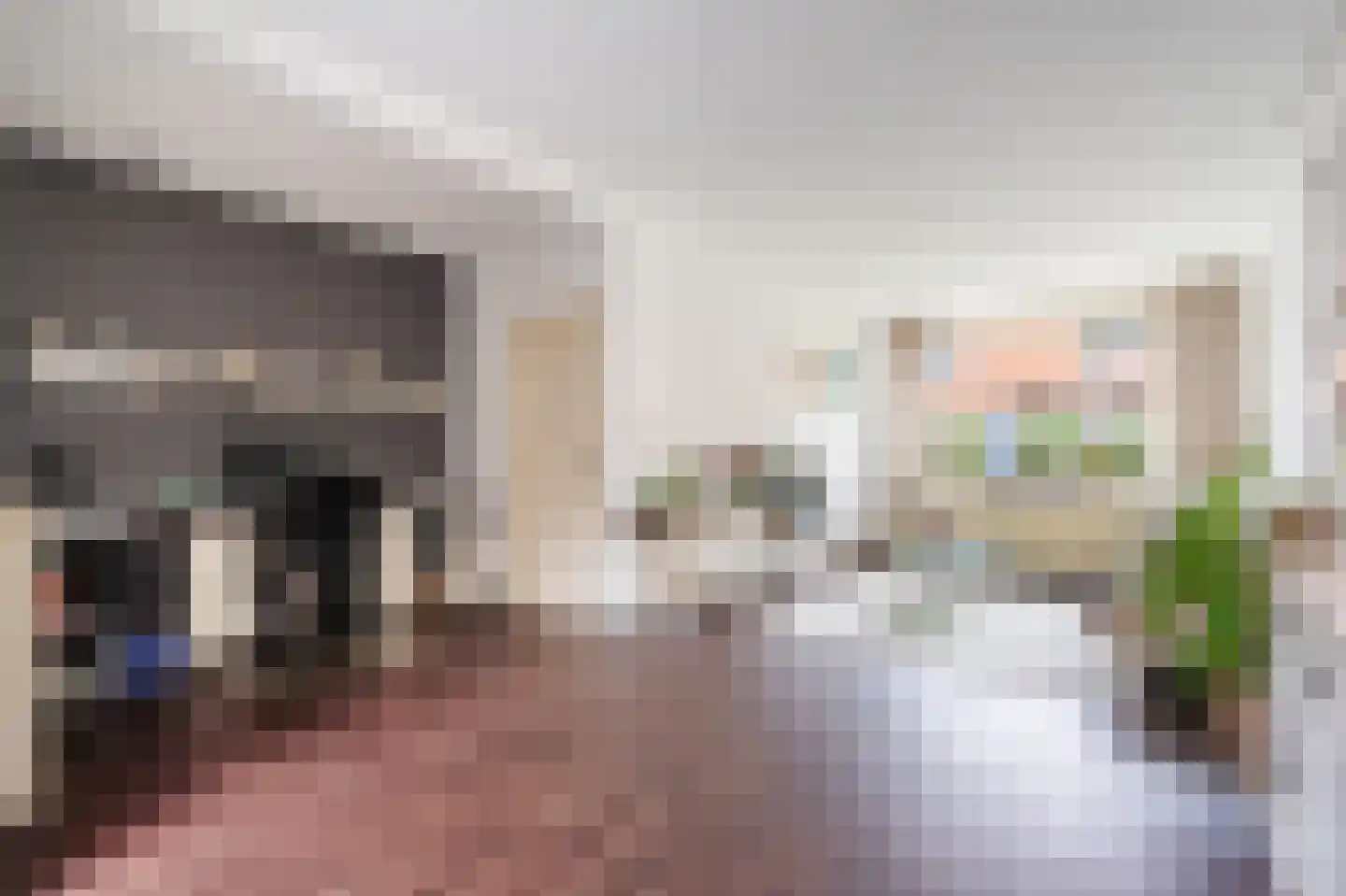 Begoniastraat 17 Zwolle thumbnail 8