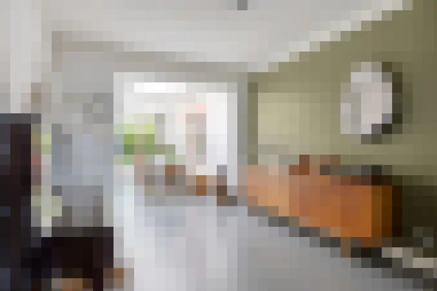 Begoniastraat 18 Eindhoven thumbnail 11