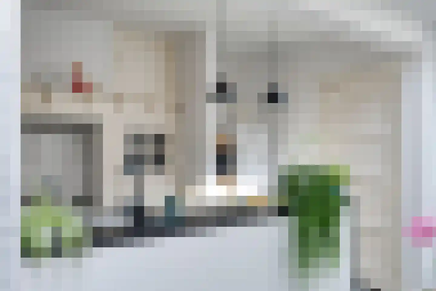 Begoniastraat 18 Eindhoven thumbnail 15