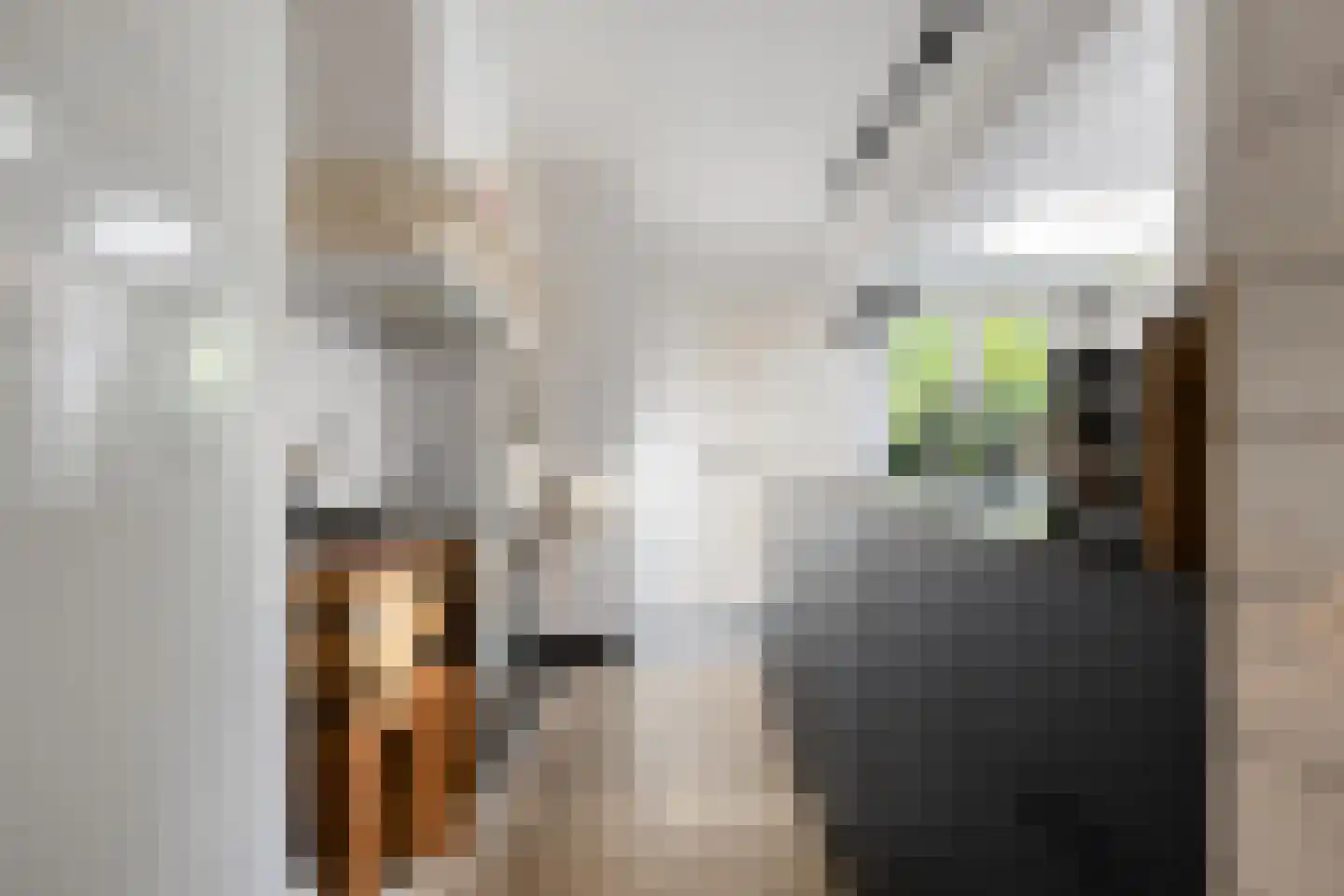 Begoniastraat 18 Eindhoven thumbnail 16