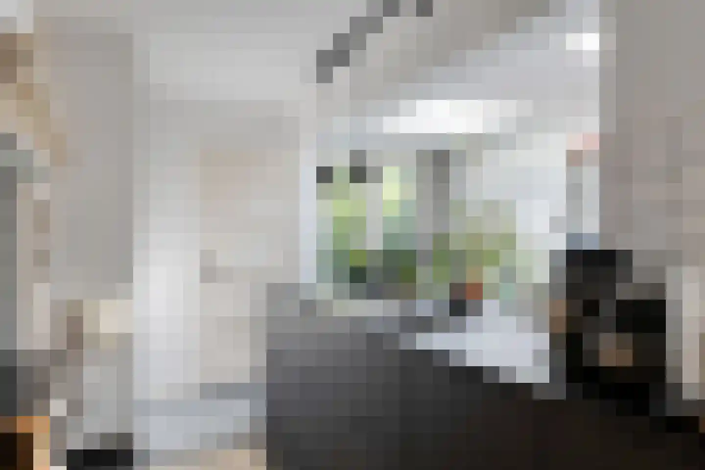Begoniastraat 18 Eindhoven thumbnail 17