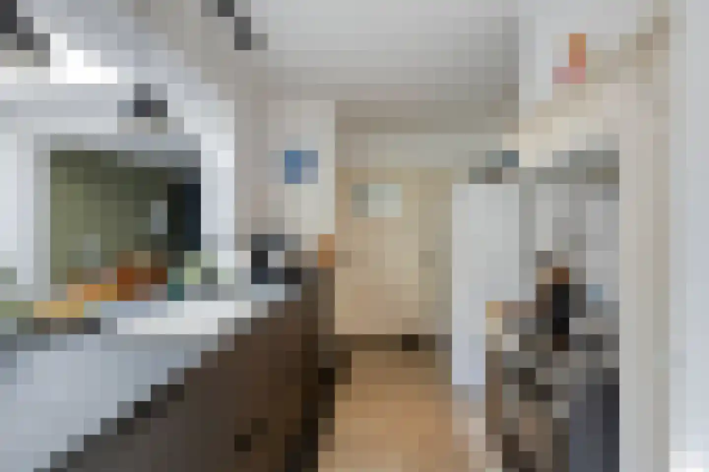 Begoniastraat 18 Eindhoven thumbnail 18