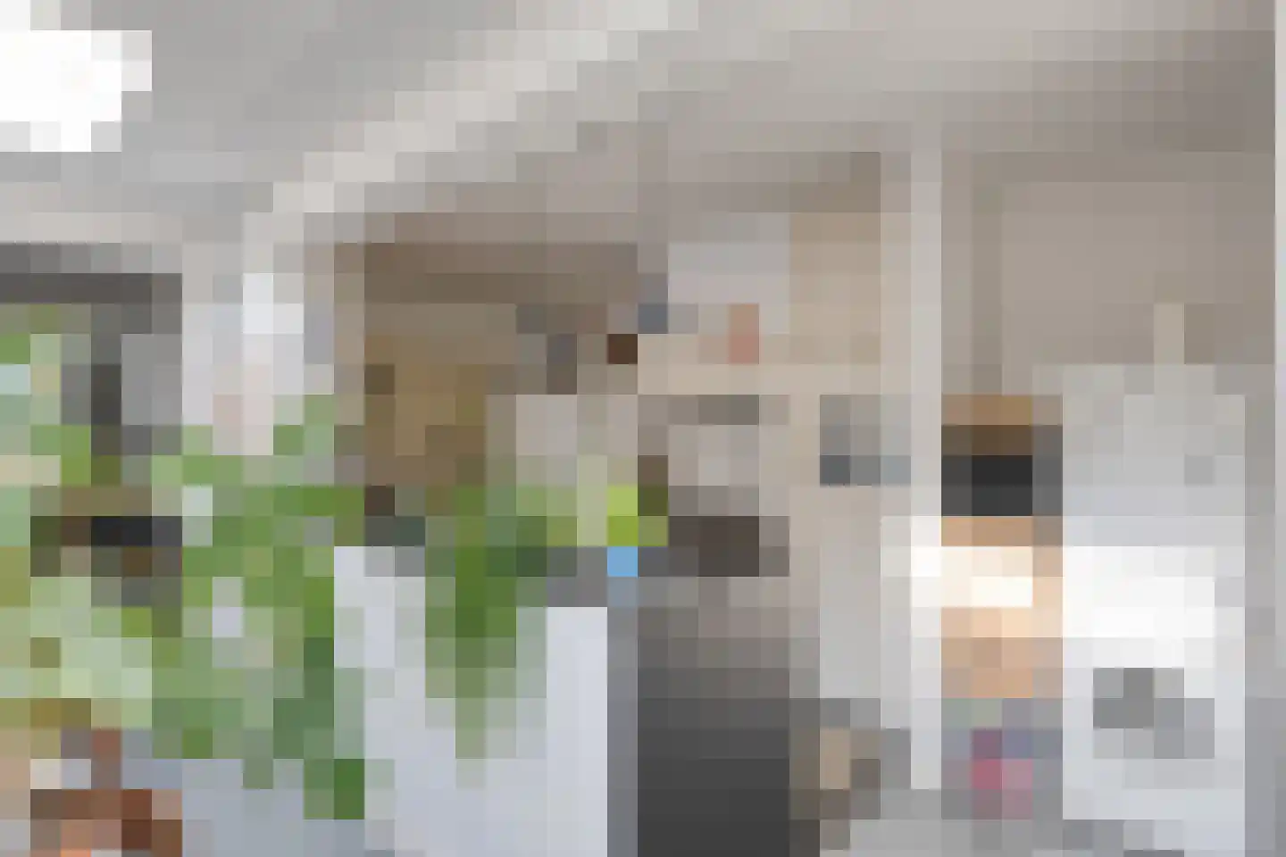 Begoniastraat 18 Eindhoven thumbnail 21