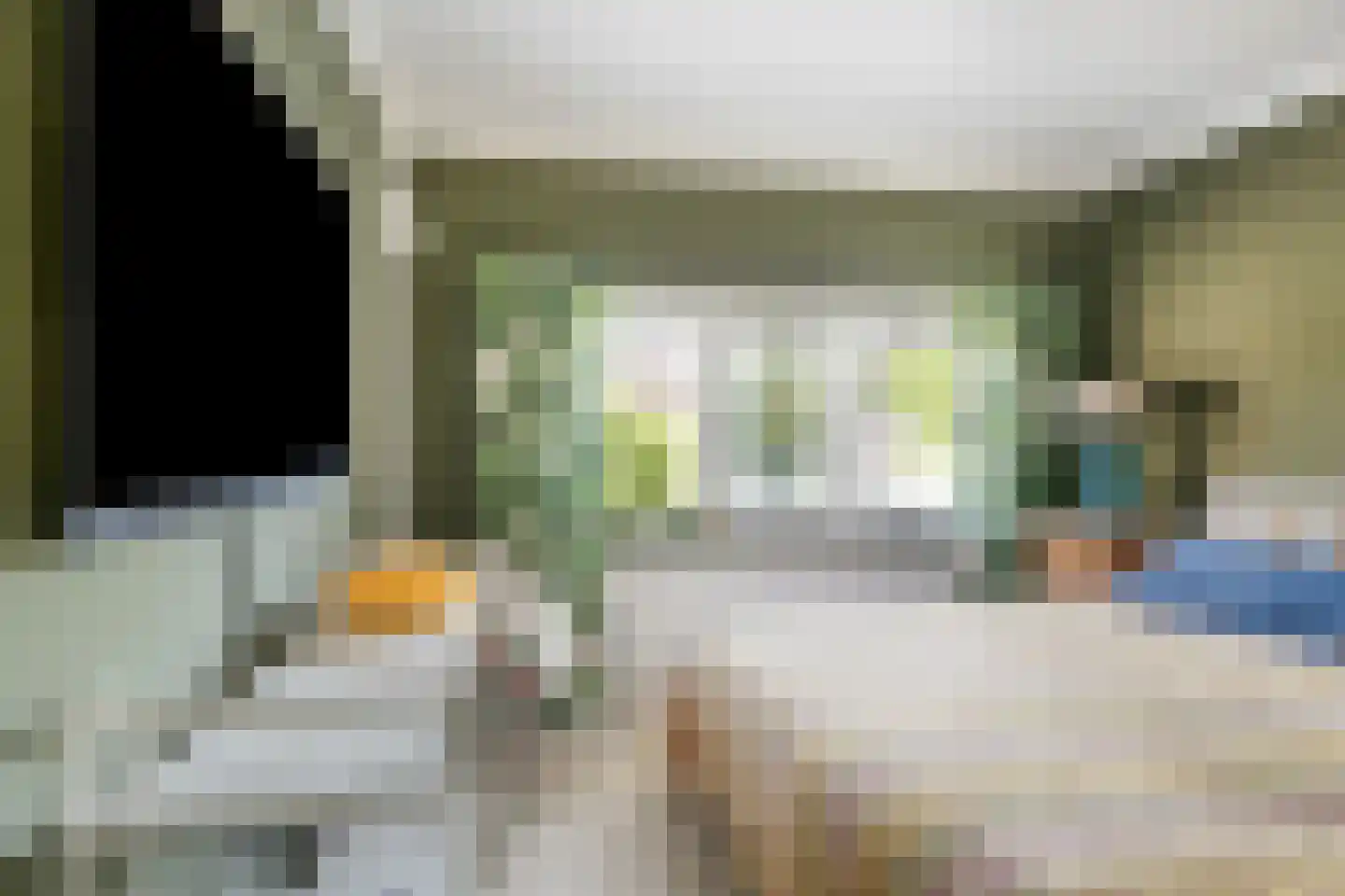 Begoniastraat 18 Eindhoven thumbnail 26