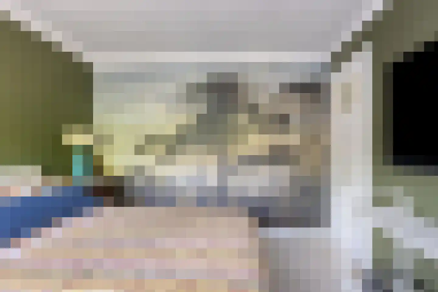 Begoniastraat 18 Eindhoven thumbnail 27