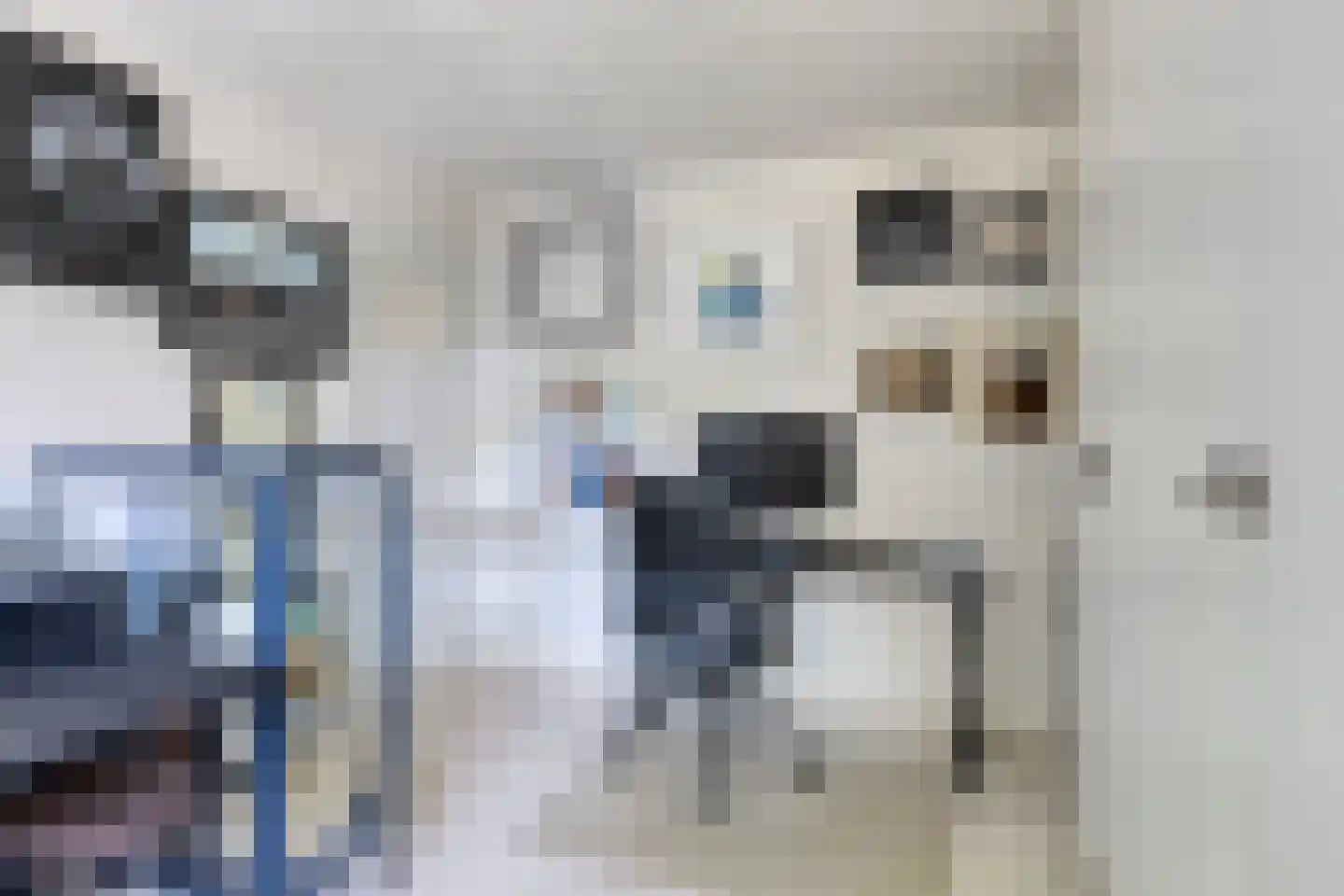 Begoniastraat 18 Eindhoven thumbnail 28