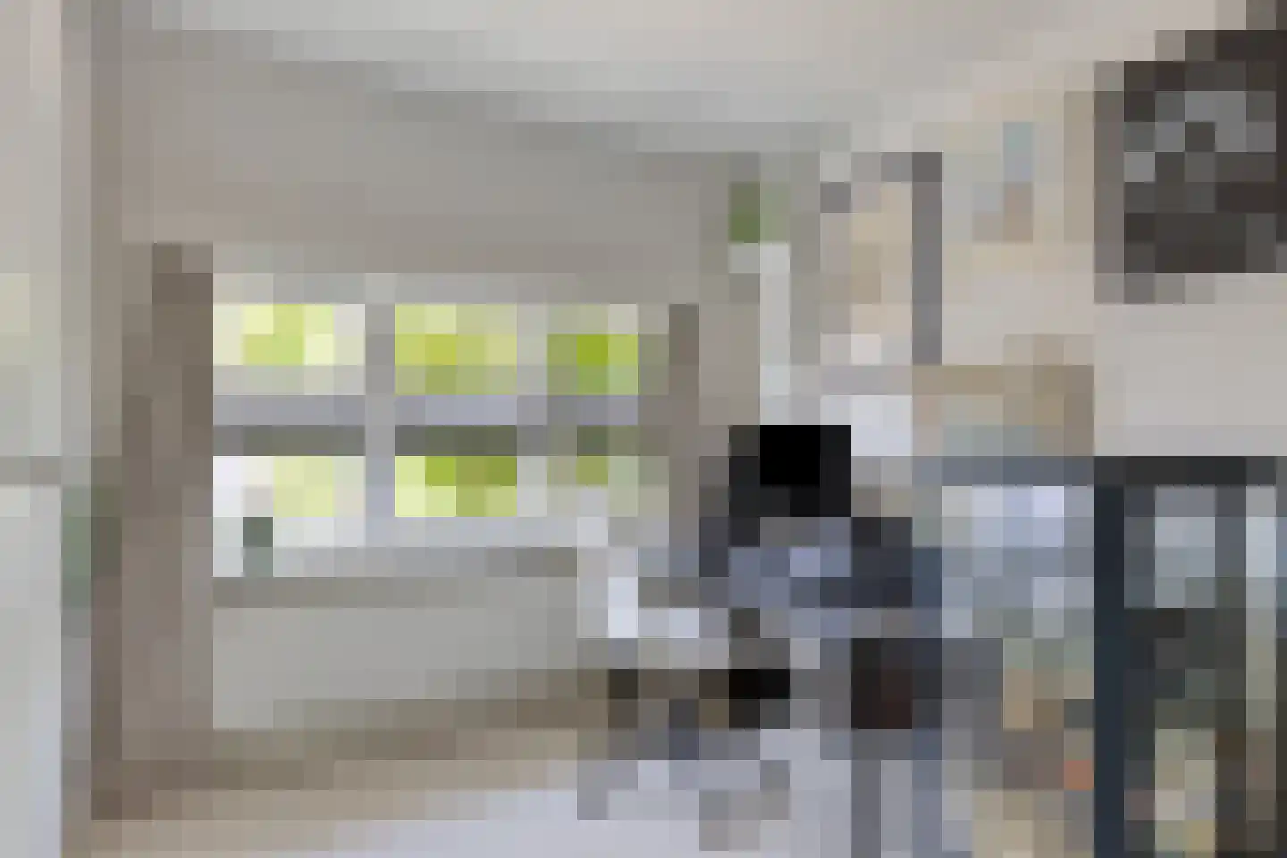 Begoniastraat 18 Eindhoven thumbnail 29