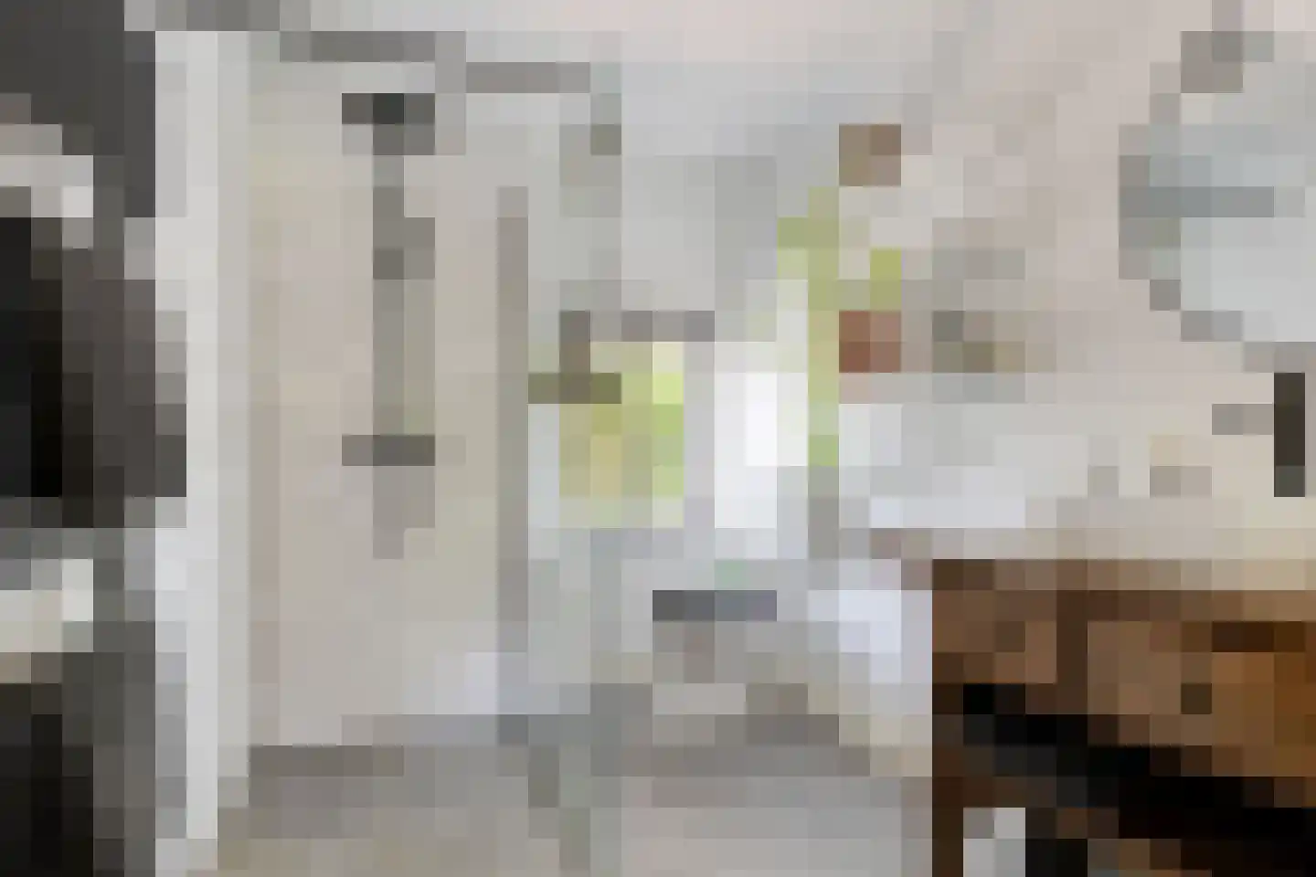 Begoniastraat 18 Eindhoven thumbnail 30
