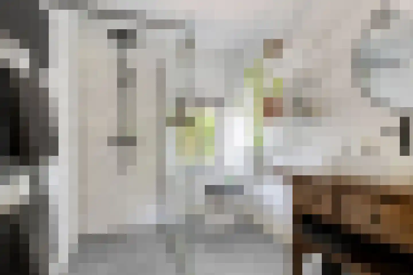 Begoniastraat 18 Eindhoven thumbnail 30