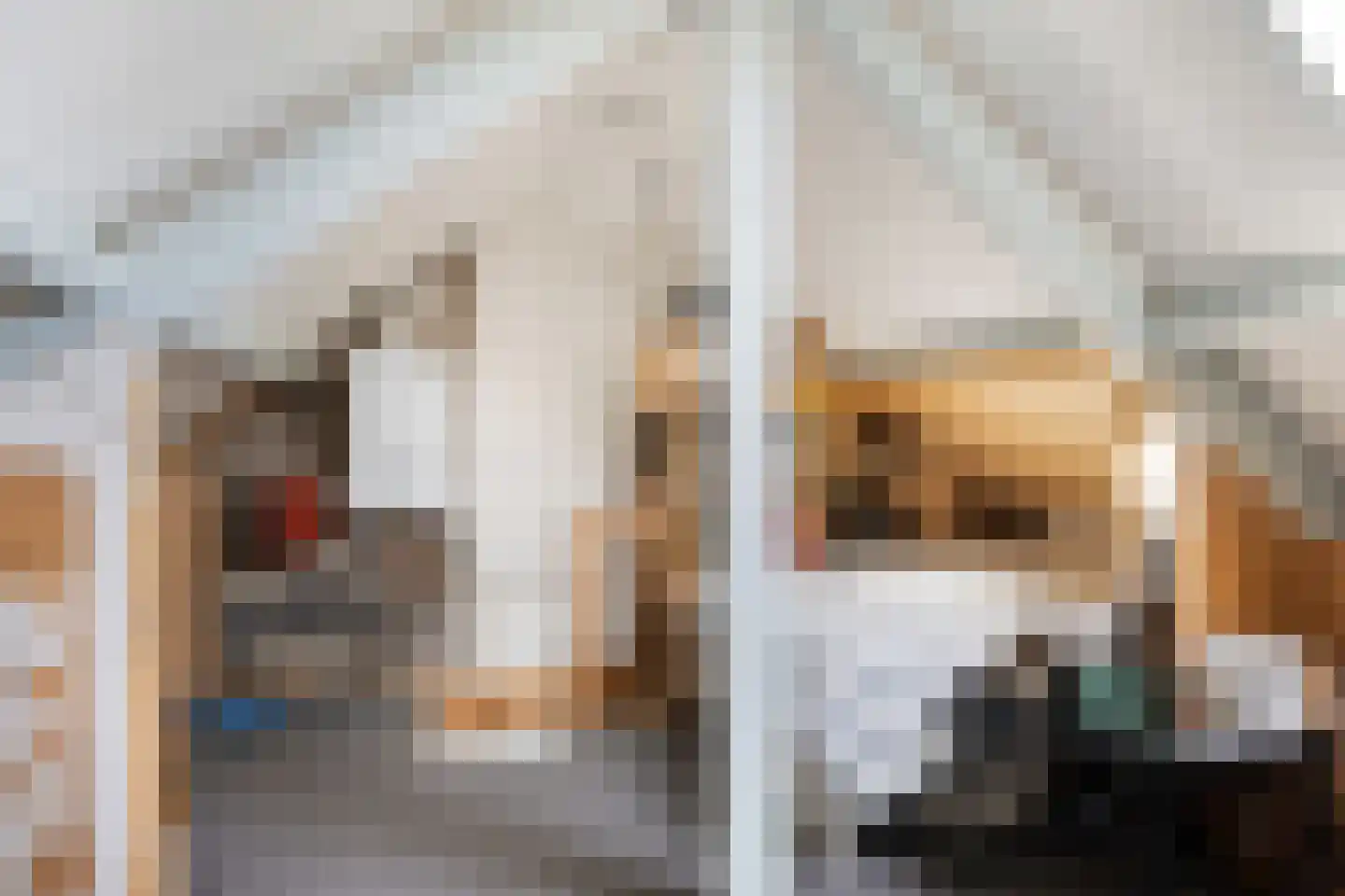 Begoniastraat 18 Eindhoven thumbnail 32