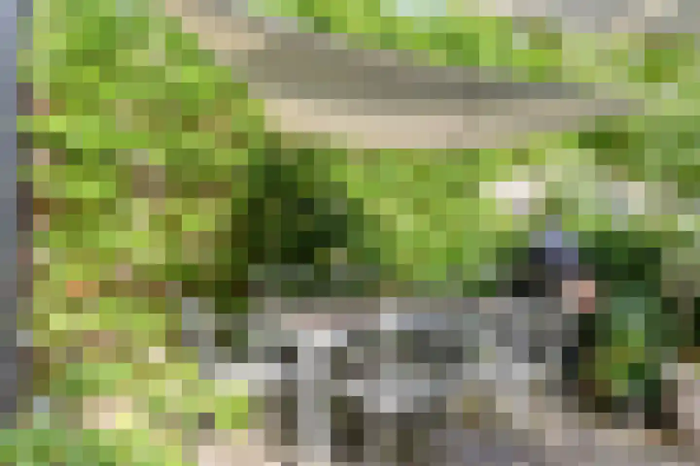 Begoniastraat 18 Eindhoven thumbnail 34