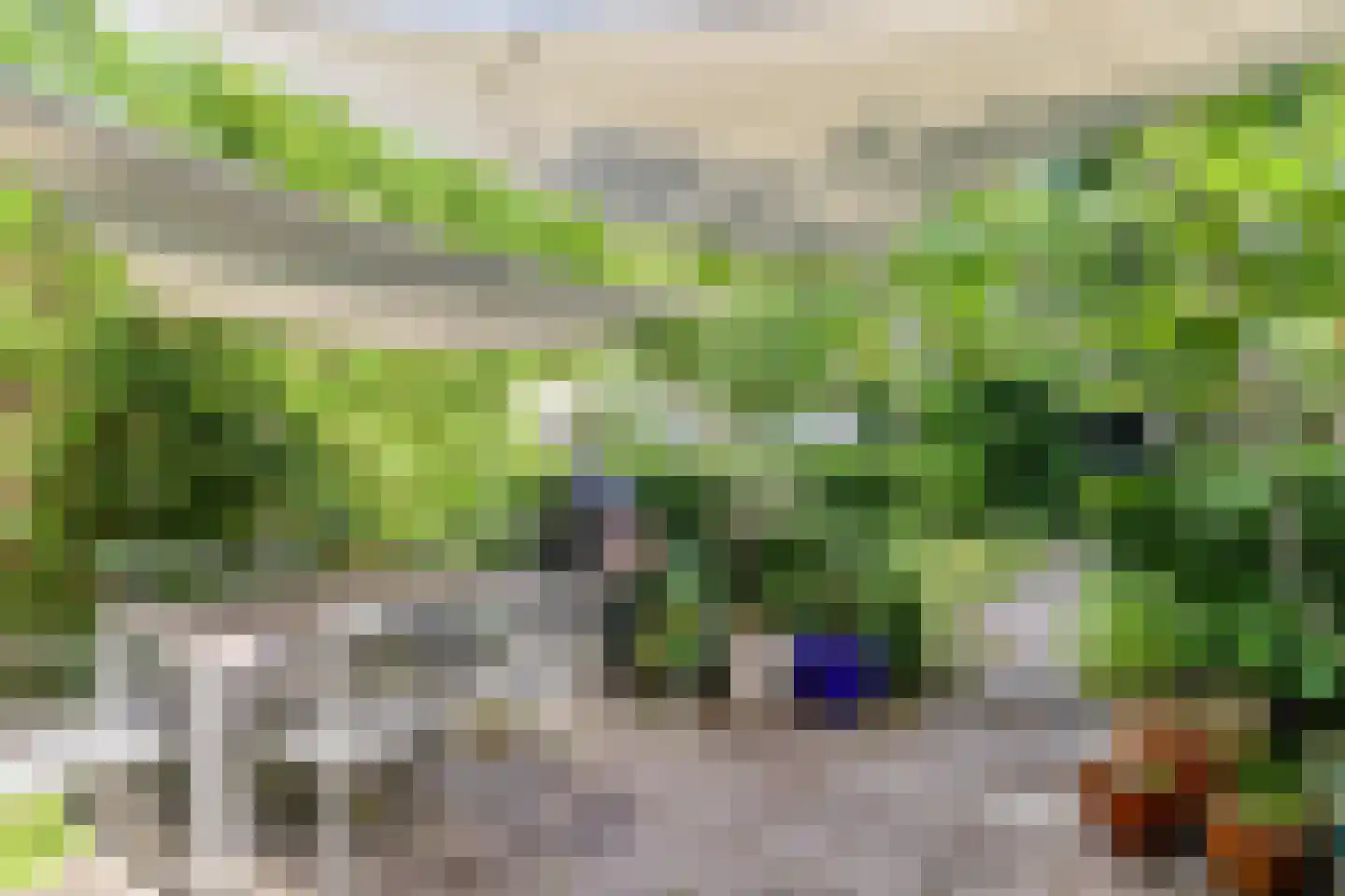 Begoniastraat 18 Eindhoven thumbnail 35