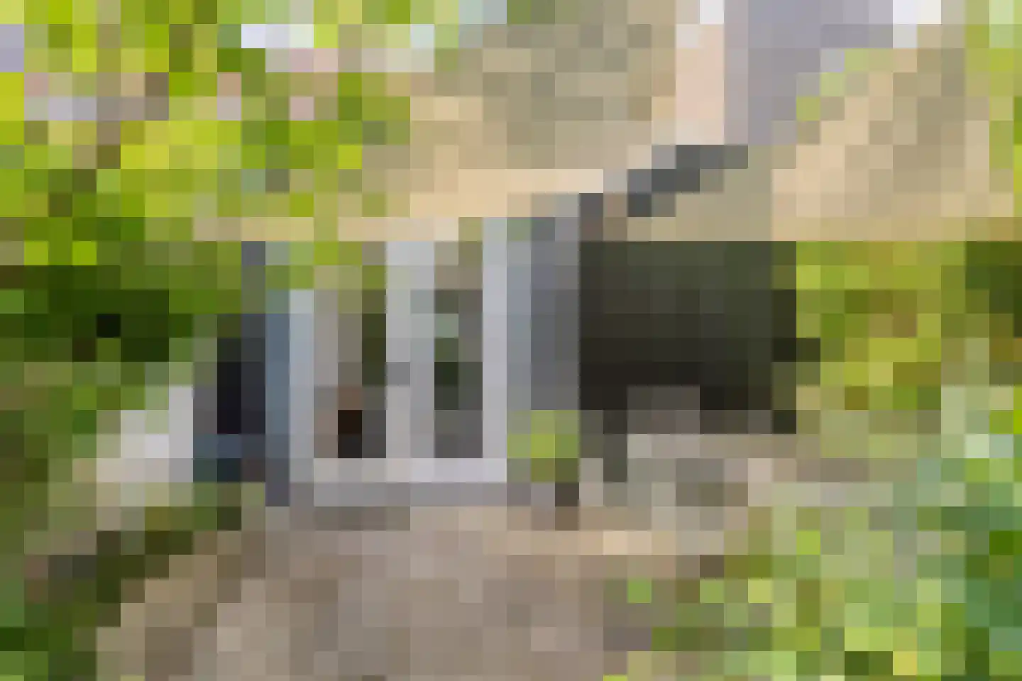 Begoniastraat 18 Eindhoven thumbnail 36