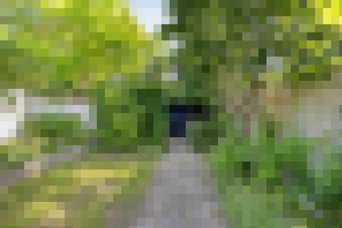 Begoniastraat 18 Eindhoven thumbnail 37