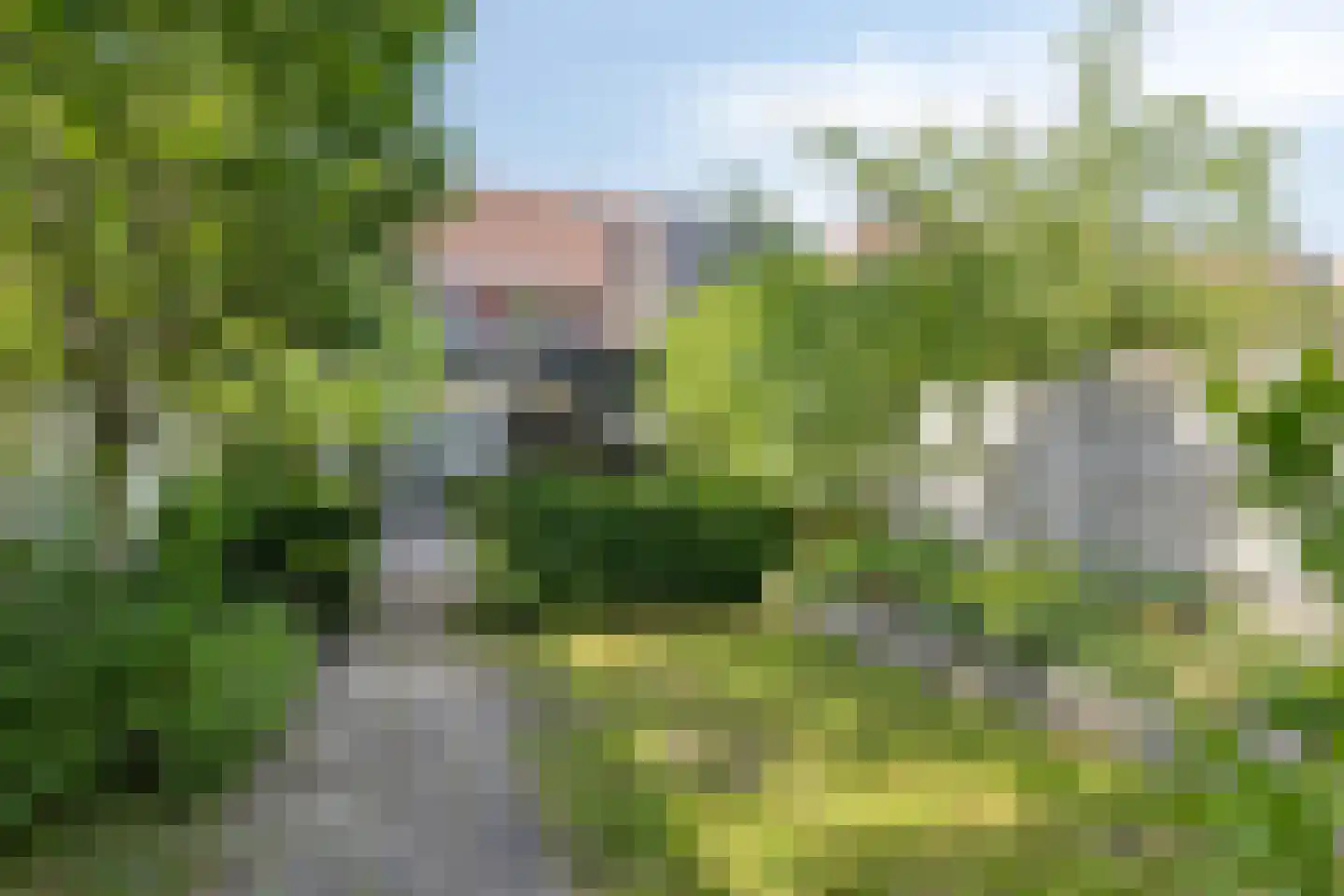 Begoniastraat 18 Eindhoven thumbnail 38