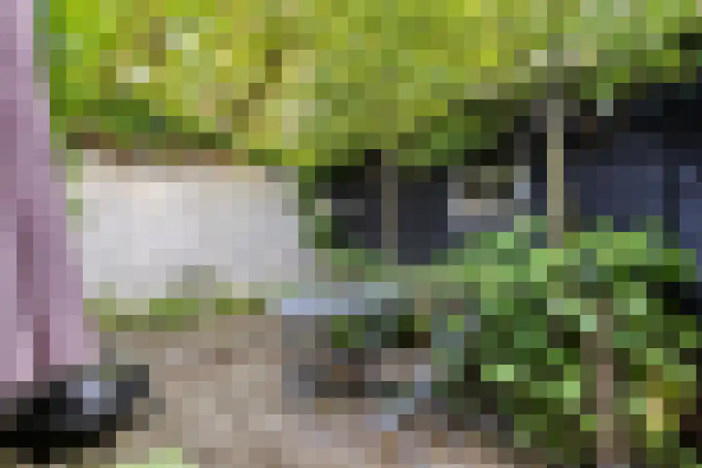 Begoniastraat 18 Eindhoven thumbnail 39