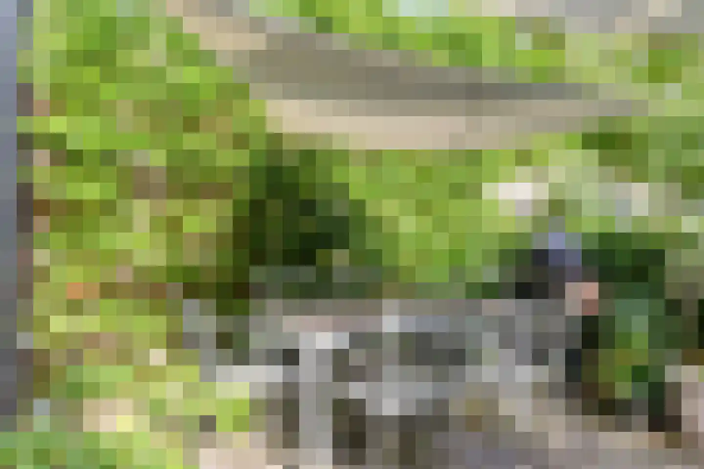 Begoniastraat 18 Eindhoven thumbnail 4
