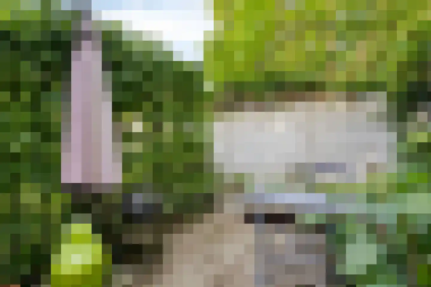 Begoniastraat 18 Eindhoven thumbnail 40