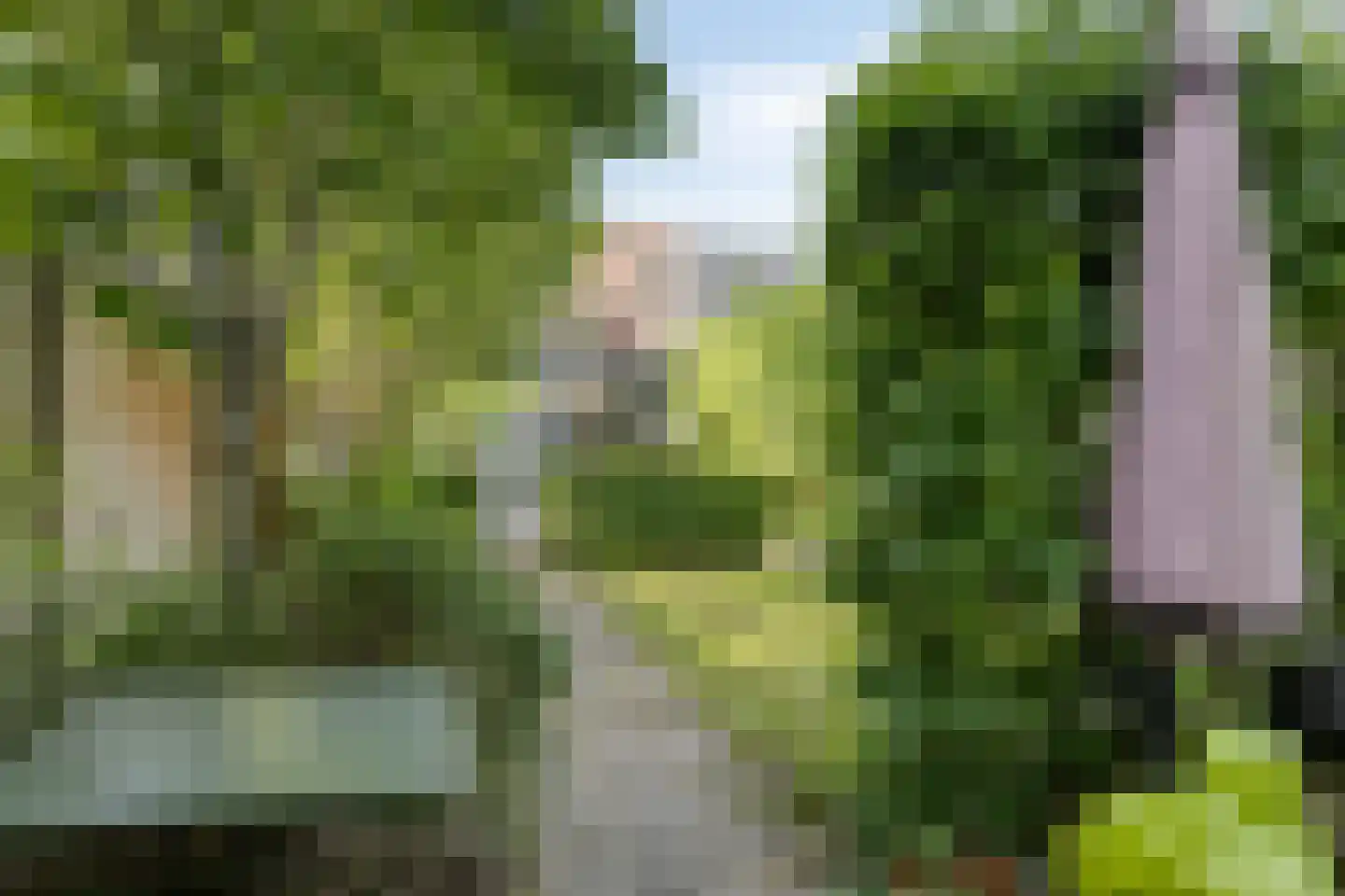 Begoniastraat 18 Eindhoven thumbnail 41
