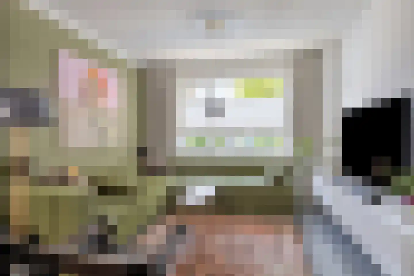 Begoniastraat 18 Eindhoven thumbnail 9