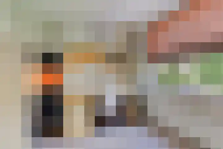 Begoniastraat 18 Ridderkerk thumbnail 18