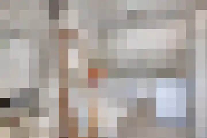 Begoniastraat 18 Ridderkerk thumbnail 24