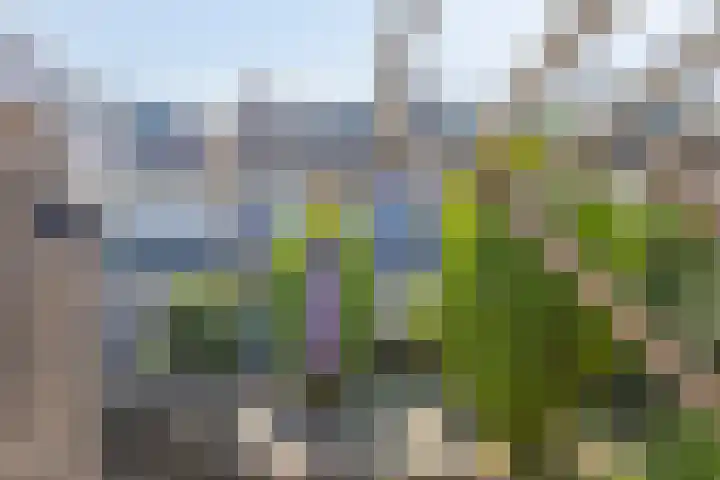 Begoniastraat 18 Ridderkerk thumbnail 27