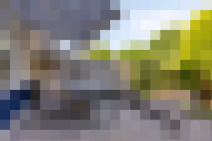 Begoniastraat 18 Ridderkerk thumbnail 29