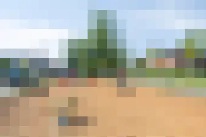 Begoniastraat 18 Ridderkerk thumbnail 33